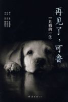 �ټ��ˣ���³��21���͡��ж�ȫ��1�����ġ��ĳ��������飩