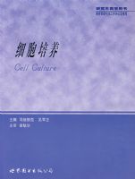 ϸ������