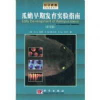 צ����ڷ���ʵ��ָ��(Ӱӡ��)