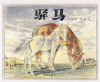 ����-��������ͼ����