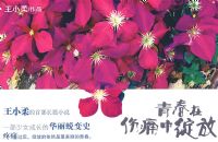 �ഺ����ʹ������