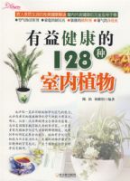 ���潡����128������ֲ��