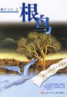 ����������С˵---����