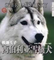 ������Ȯѱ������-�������� ��������ѩ��̫