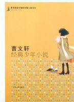 ������ ��������С˵