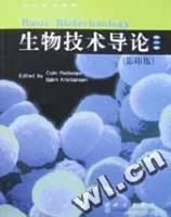 ���＼������