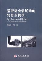 ����������β�ʵķ�������ѧ�������̣�