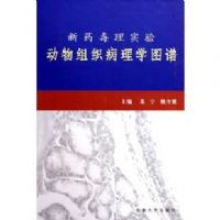 ��ҩ����ʵ�鶯����֯����ѧͼ��(��)