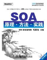 SOA ԭ����������ʵ��