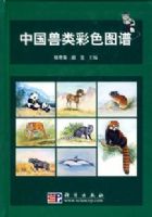 �й������ɫͼ��