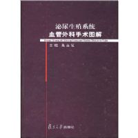 ������ֳϵͳѪ���������ͼ��(��)