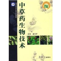 �в�ҩ���＼��(��)