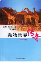 �������紫��