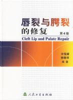 ���������ѵ��޸�����4�棩