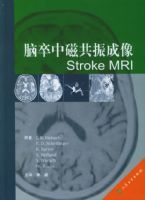 �����дŹ������