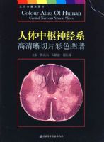 ����������ϵ��������Ƭ��ɫͼ��