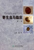 ���������ٴ� ��3��