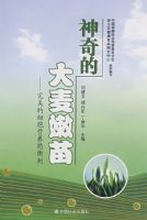 ����Ĵ�������:������ϸ��Ӫ�������