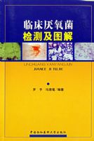 �ٴ���������⼰ͼ��