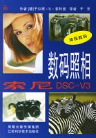 ��������:����DSC-V3