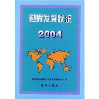 �����緢չ״����(2004)