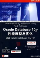 Oracle Database 10g���ܵ������Ż�