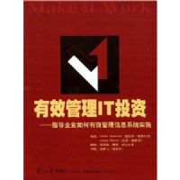 ��Ч����ITͶ��