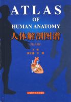 �������ͼ�ף�����棩