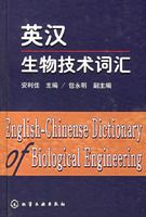 Ӣ�����＼���ʻ�