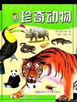 �¸�������̽���ٿ� ���涯��