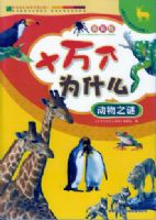 ʮ���Ϊʲô֮����֮��