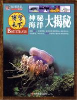 ���غ�������