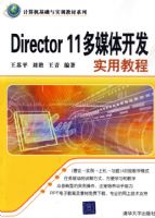 Director 11��ý�忪��ʵ�ý̳̣������������ʵѵ�̲�ϵ�У�