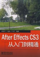 After Effects CS3�����ŵ���ͨ