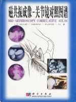 �Ź�����񡪡��ؽھ�����ͼ��