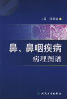 �ǡ����ʼ�������ͼ��