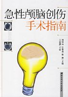 ����­�Դ�������ָ��