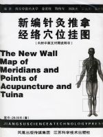 �±�������þ�����Ѩλ��ͼ��Ӣ�Ķ��գ�