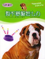 ���������ô�졪�������԰ϵ�д���