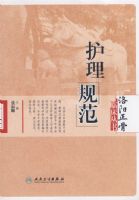 ���������ٴ��������ǹ淶