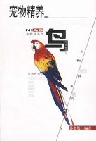 ��--���ﾫ��