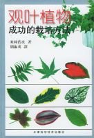 ��Ҷֲ��ɹ������෽��