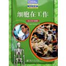 ϸ���ڹ���(�ʺ���Сѧ��ʹ��)