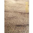 �����·�:�ػ��о�Ժ�����о���������Ʒչ