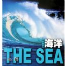 ����(�������)(��)