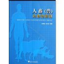 ����(��)�����Լ���