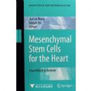 ����ʸ�ϸ������Ѫ�ܼ����е�Ӧ��:�ӻ������ٴ�(Ӣ�İ�)(��װ)