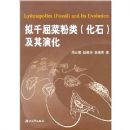 ��ǧ���˷��໯ʯ�����ݻ�(������)