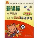 �¿α�Сѧ��ѧ���Ž���ѵ��(6�꼶)