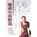 ����С˵��ѡ